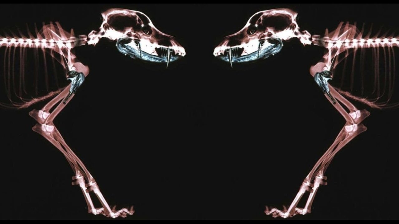 bg-hero